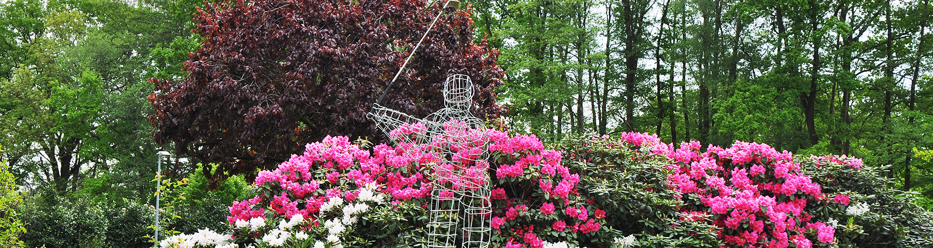 greenfee_header